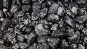 Coal India