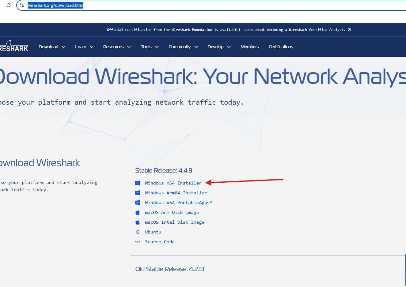 Wireshark logs : how to capture and analyze them like a pro